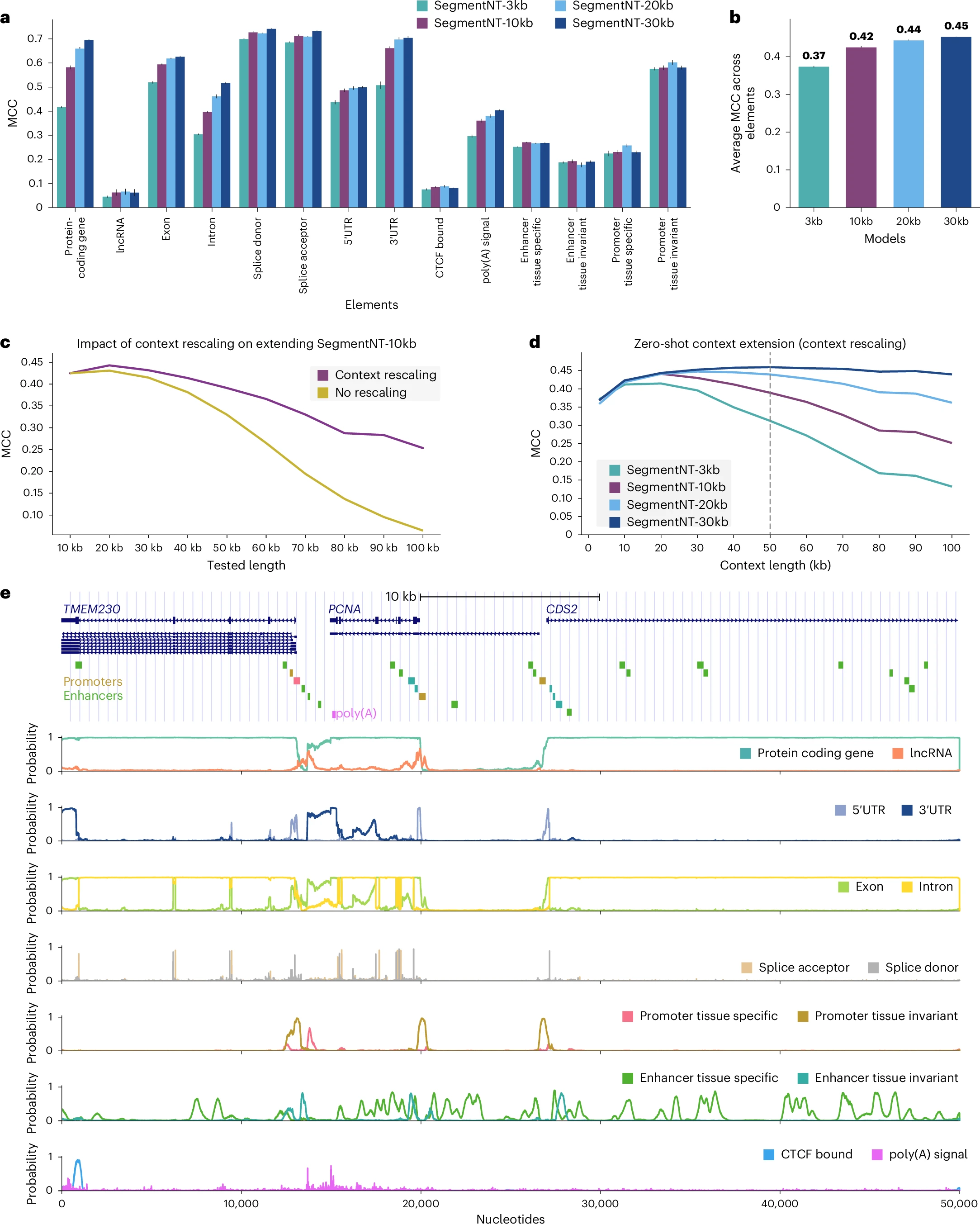 图2 SegmentNT在不同序列长度下的适配与泛化