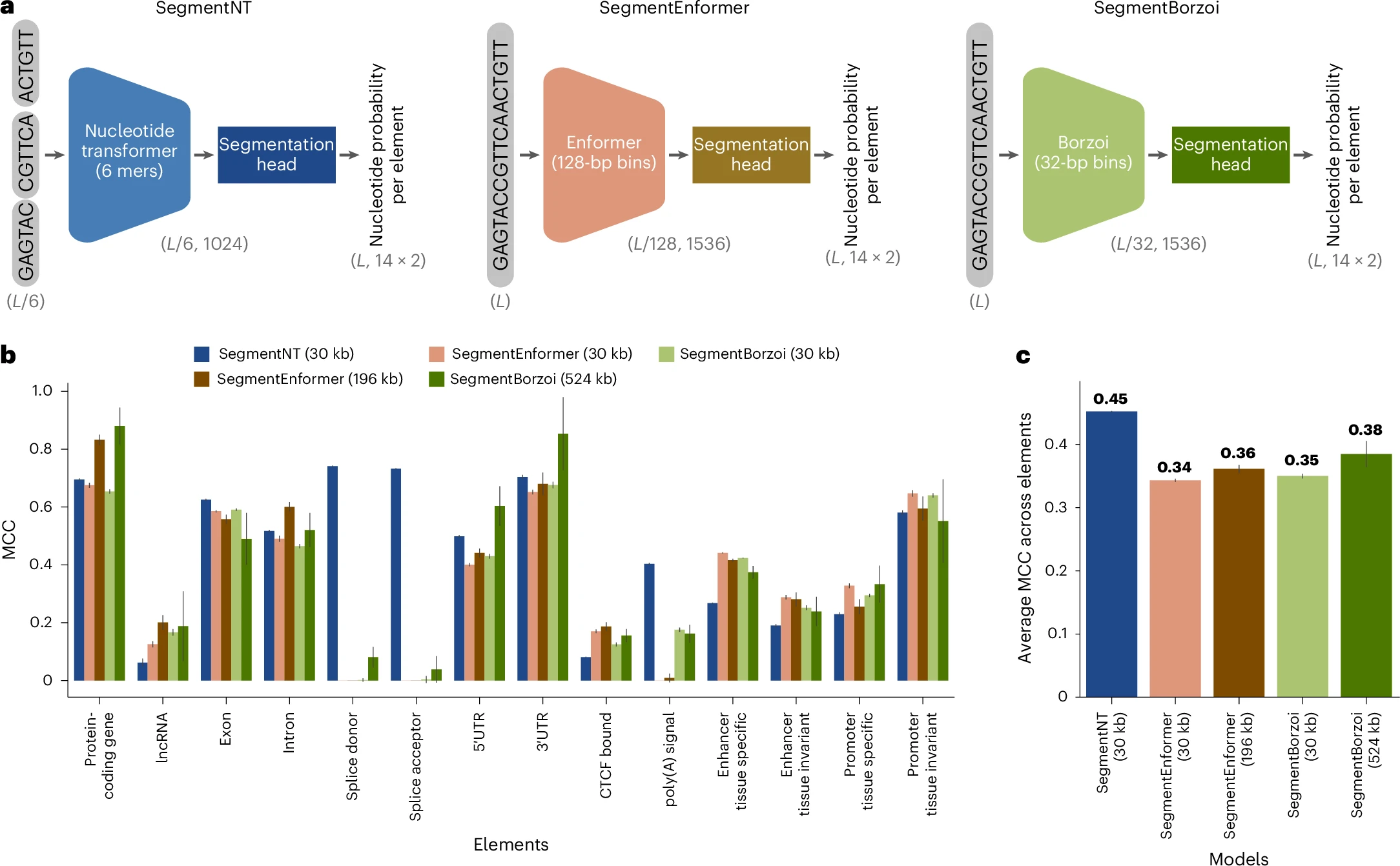 图3 不同基础模型作为DNA编码器的性能对比