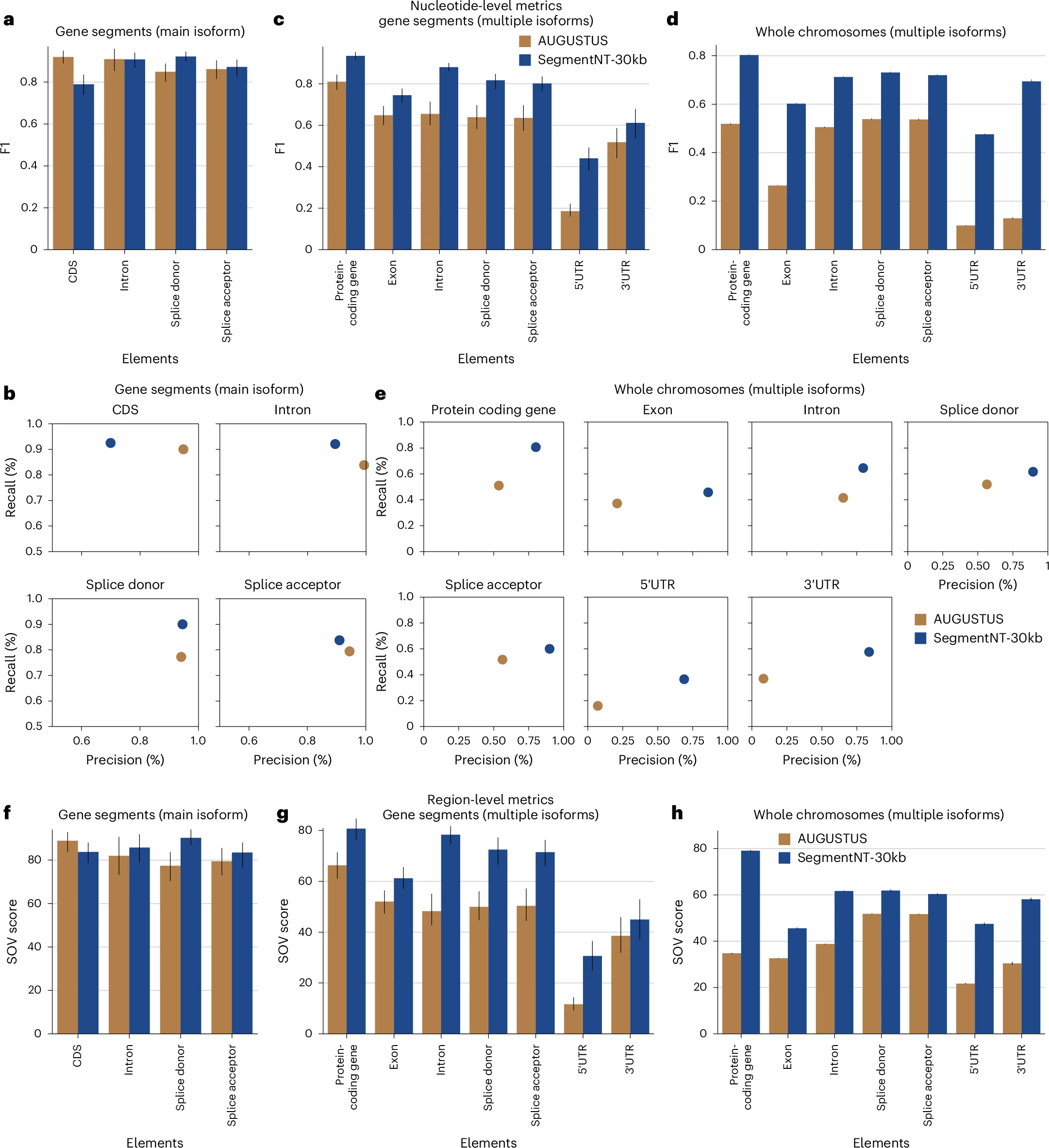 图4 与AUGUSTUS基因预测性能对比