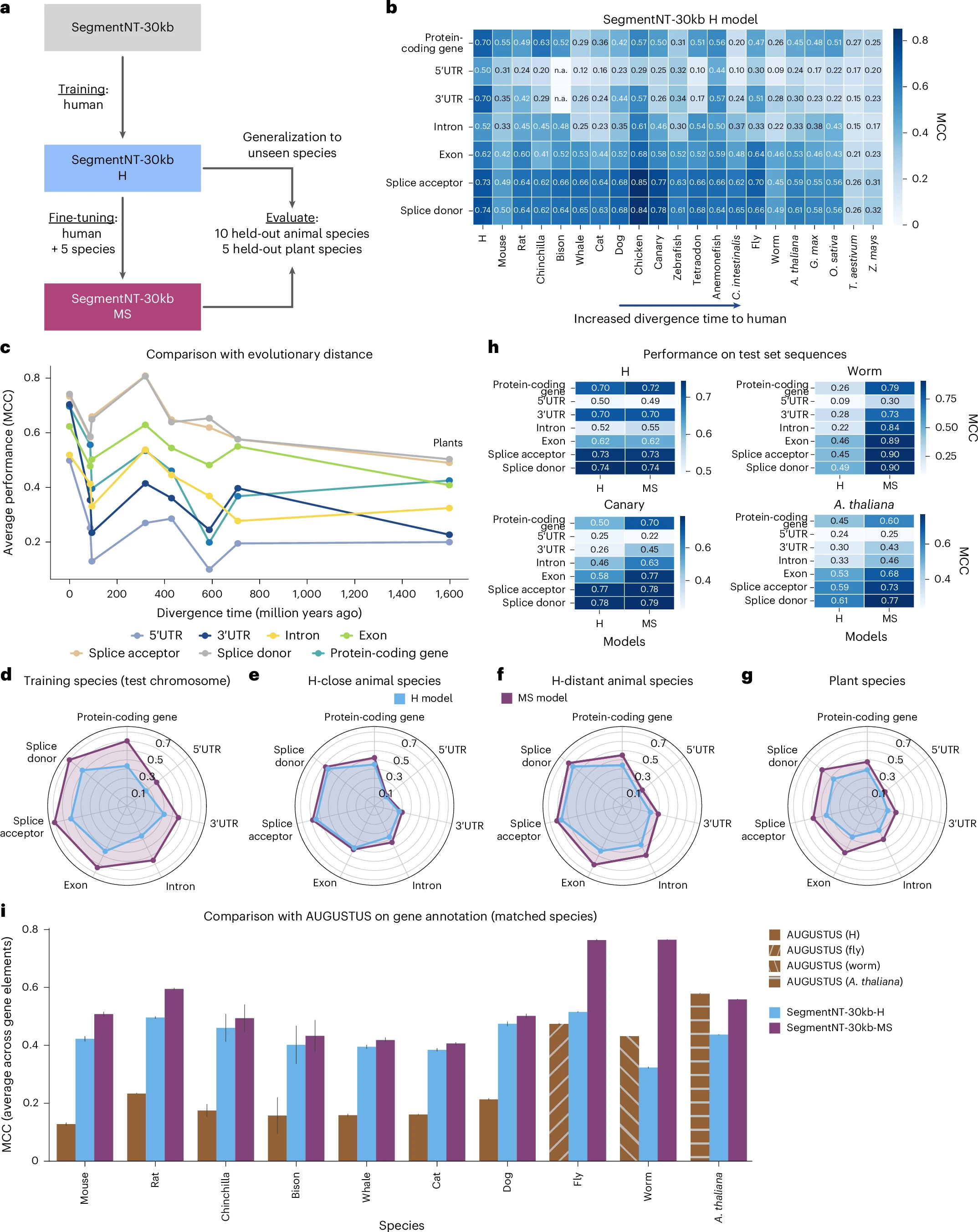 图6 SegmentNT的跨物种泛化能力