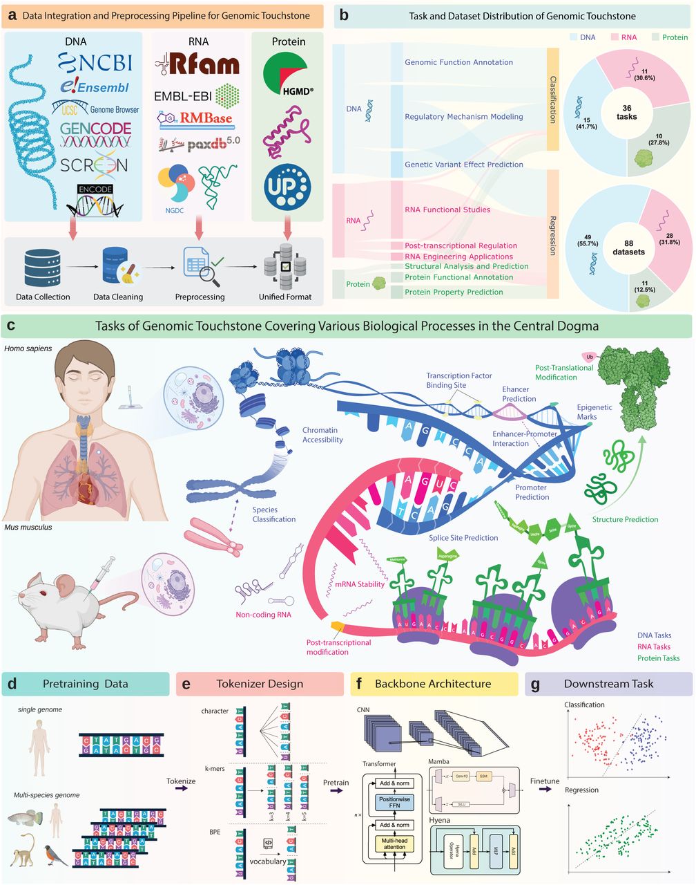 图1 Genomic Touchstone 概述