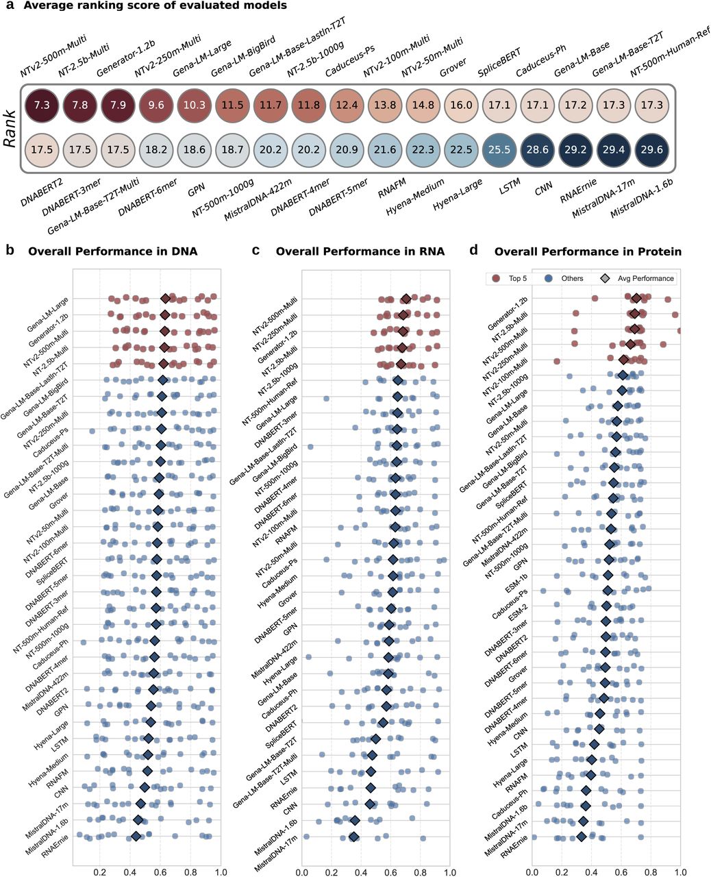 图2 gLMs基准测试结果分析