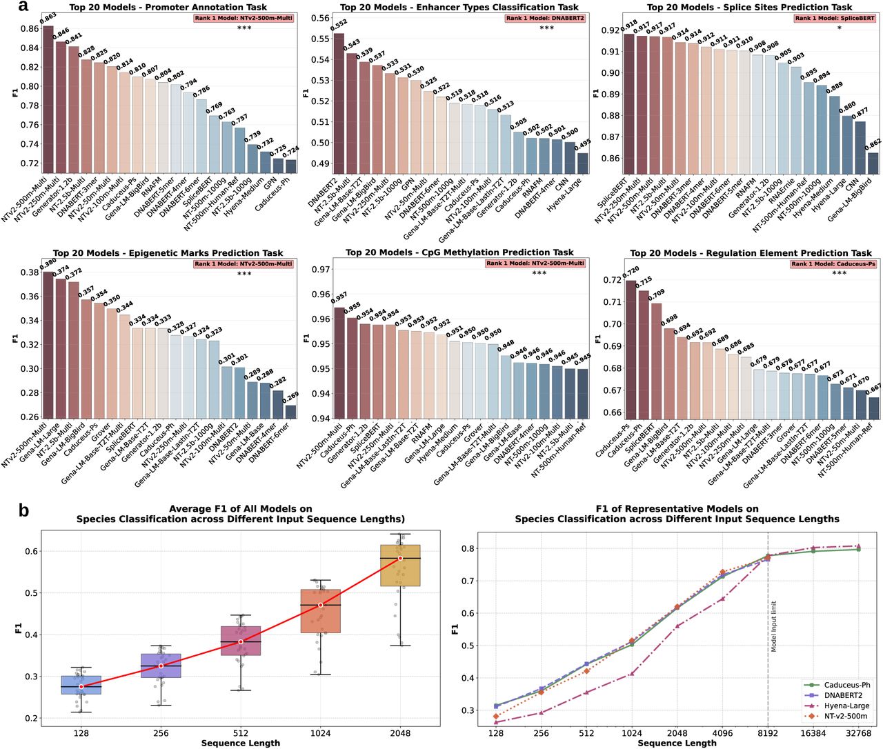 图3 基因组功能注释任务模型性能