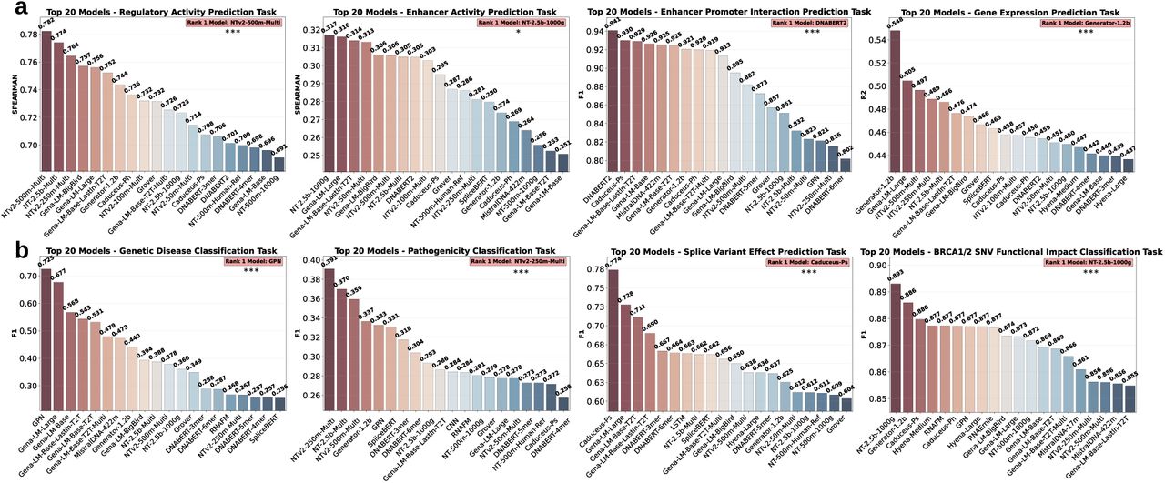 图4. 模型在调控机制建模任务与基因变异效应预测任务中的表现