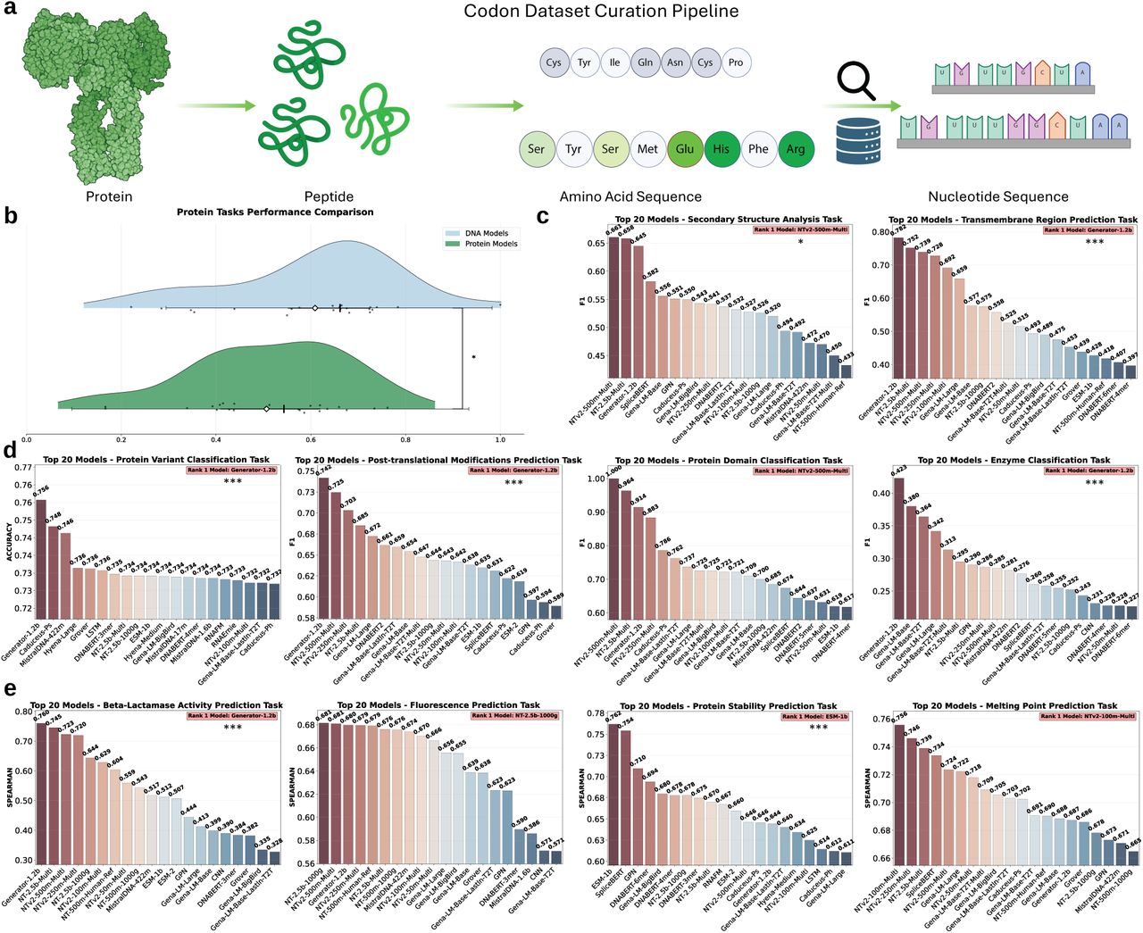 图6 模型在精选蛋白质水平基准测试中的表现