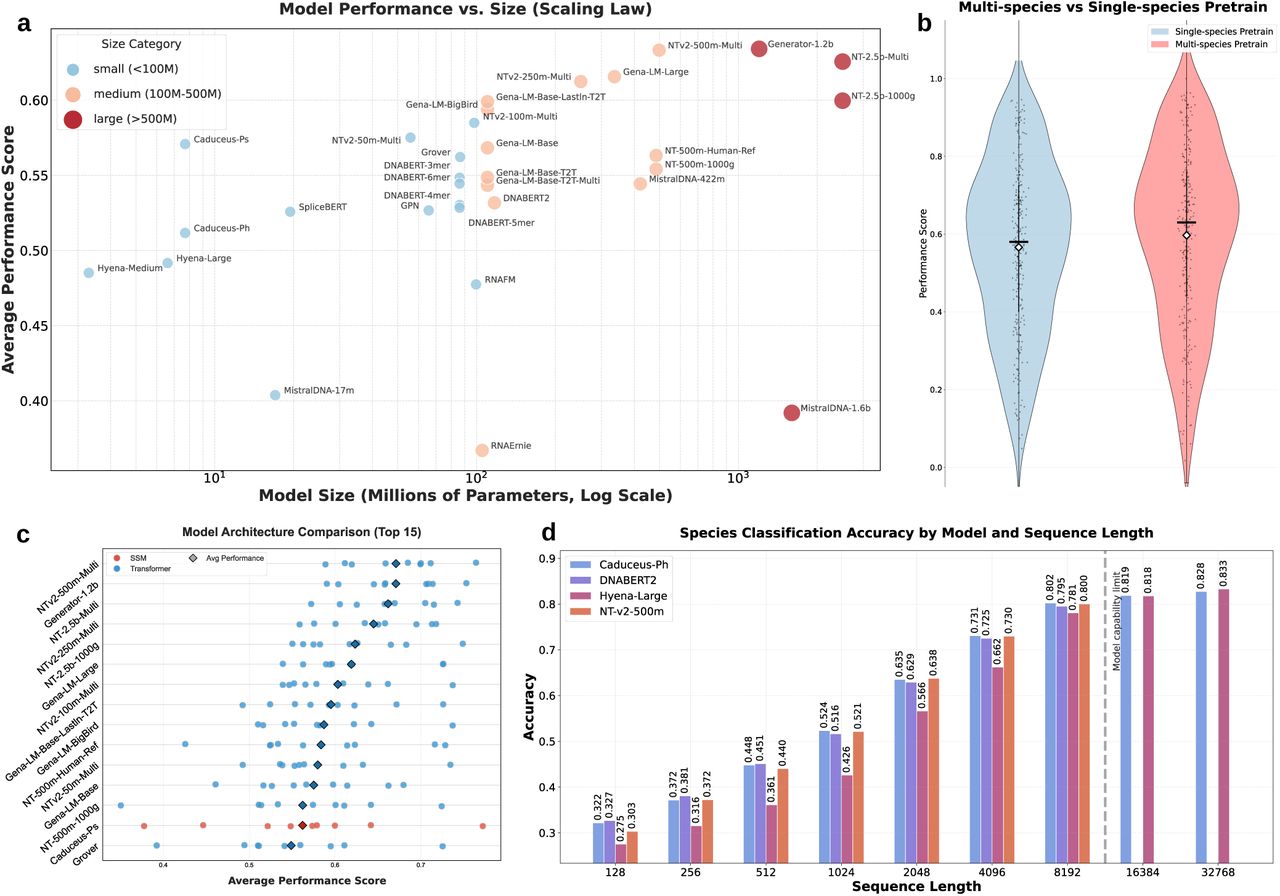 图7 模型与任务的基准测试洞察