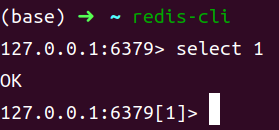 image-20250307155719485