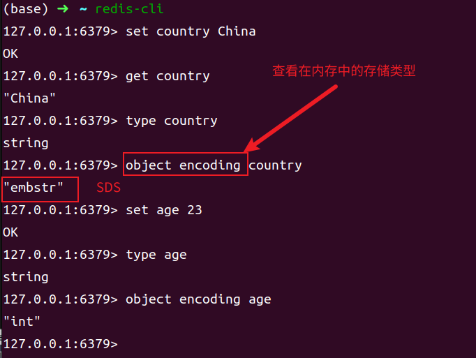 image-20250307174104729