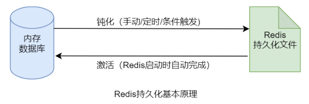 image-20250505145446133