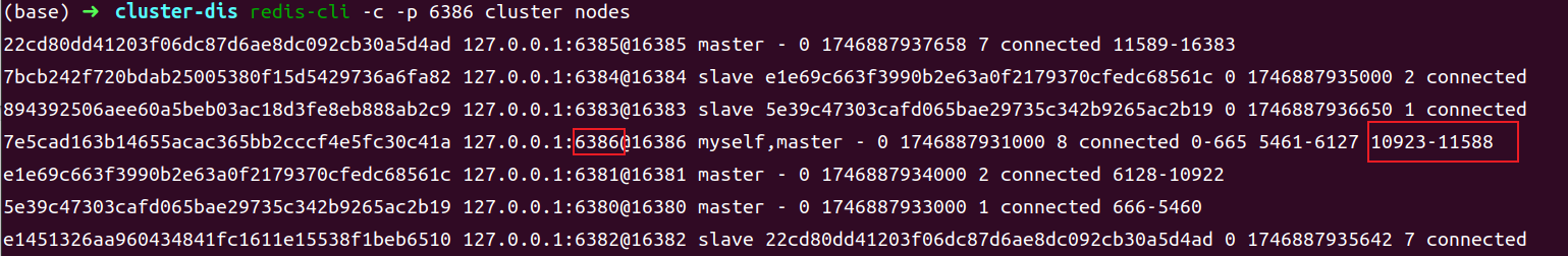 image-20250510223920860