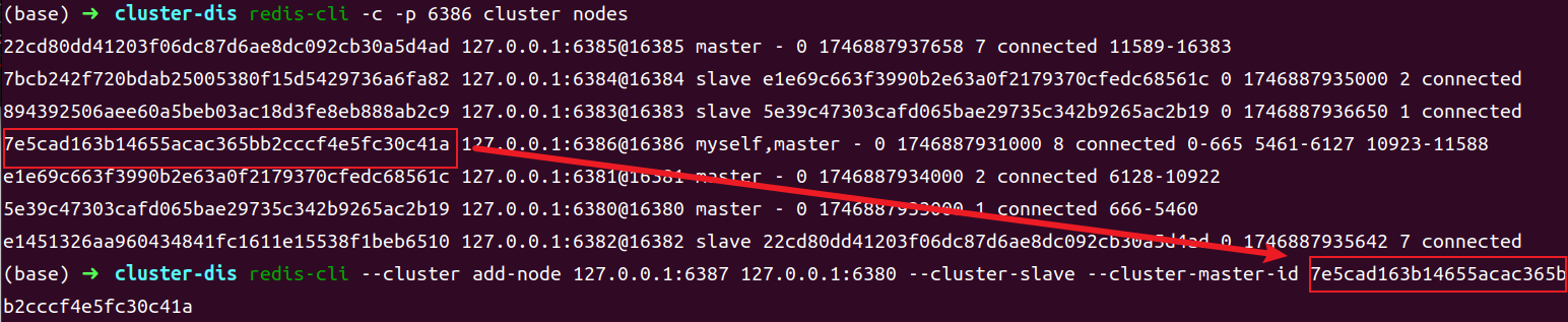 image-20250510224232741