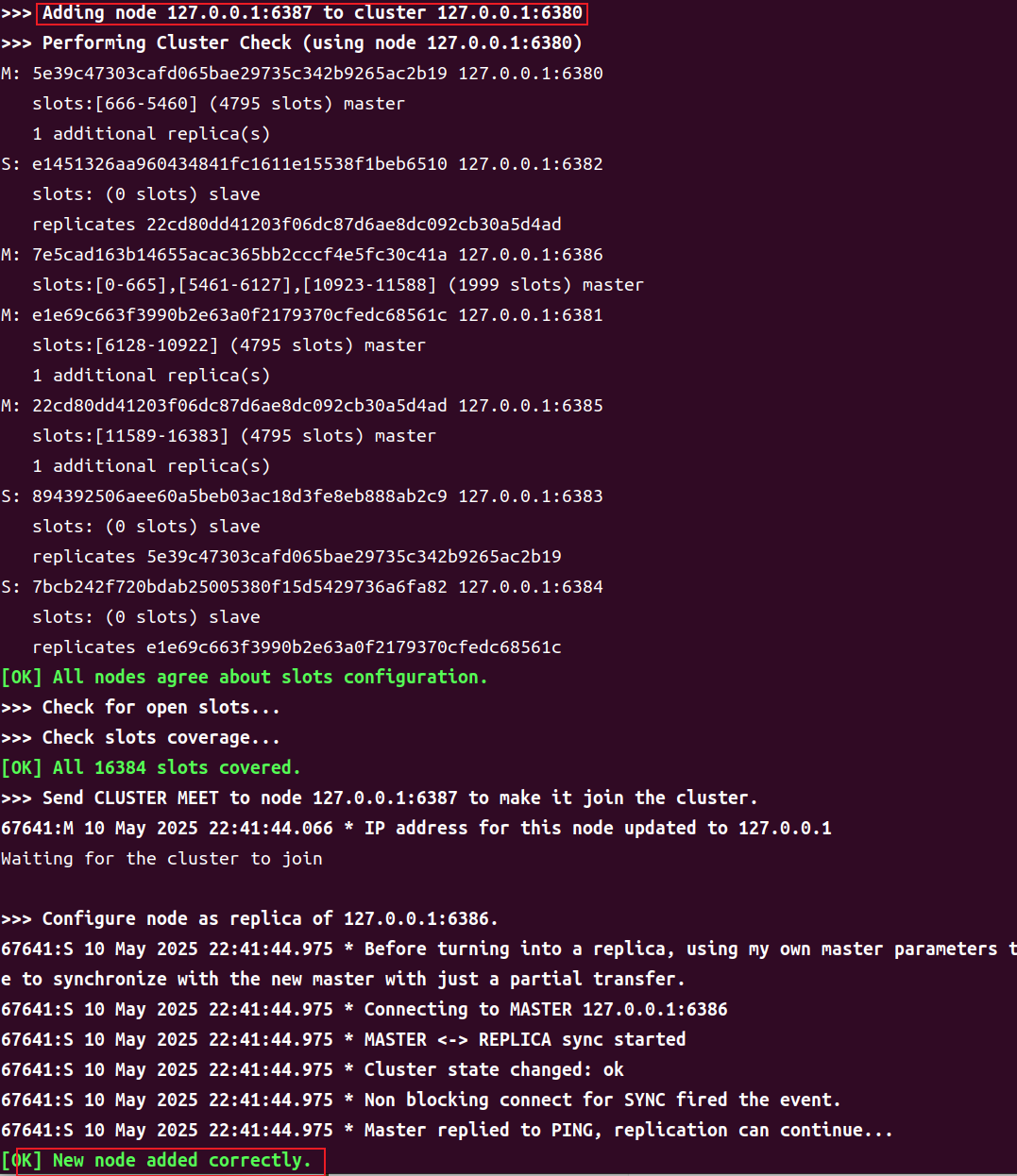 image-20250510224346523