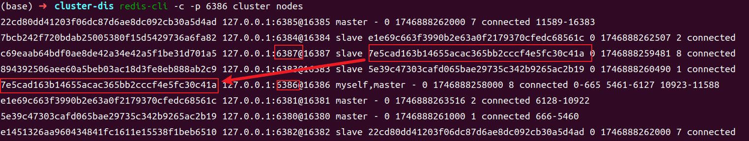 image-20250510224528154