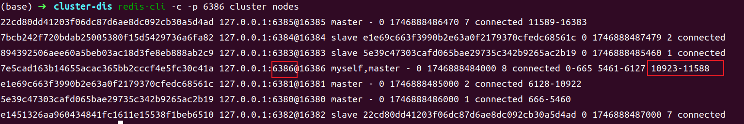 image-20250510224919784