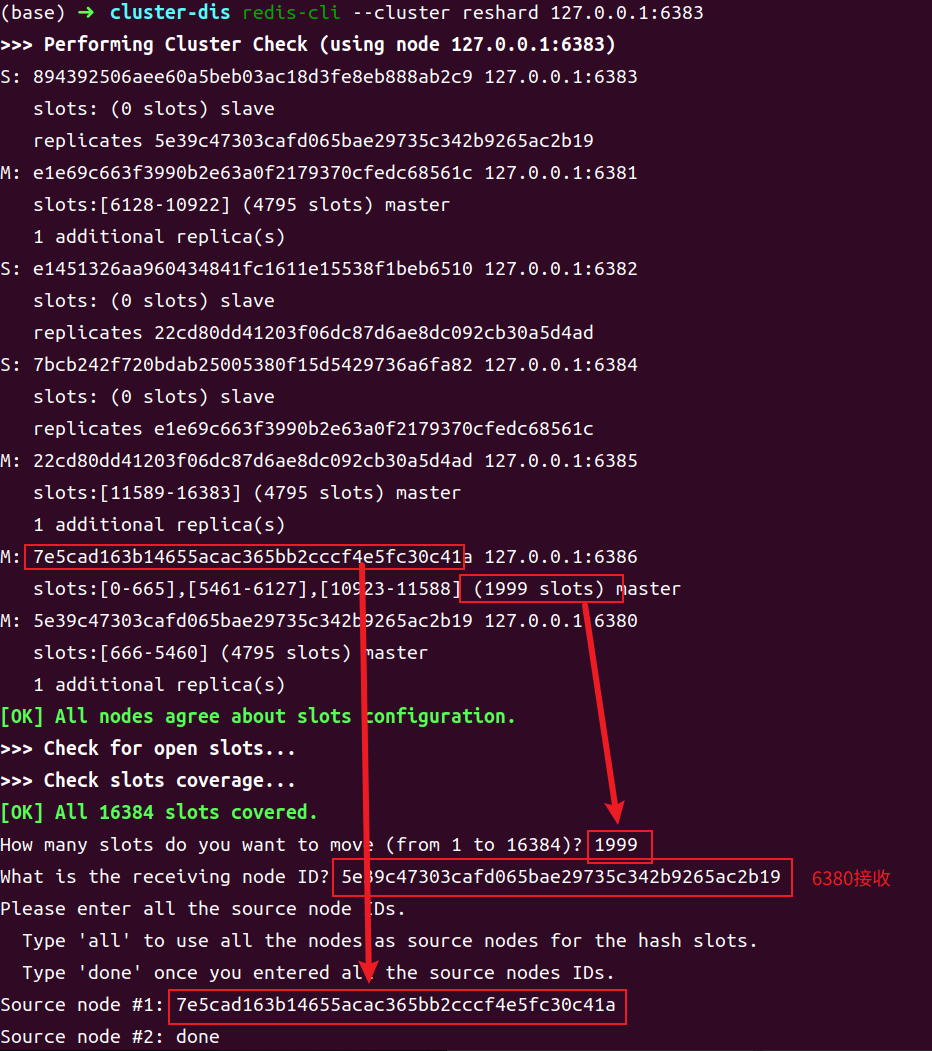 image-20250510225400141