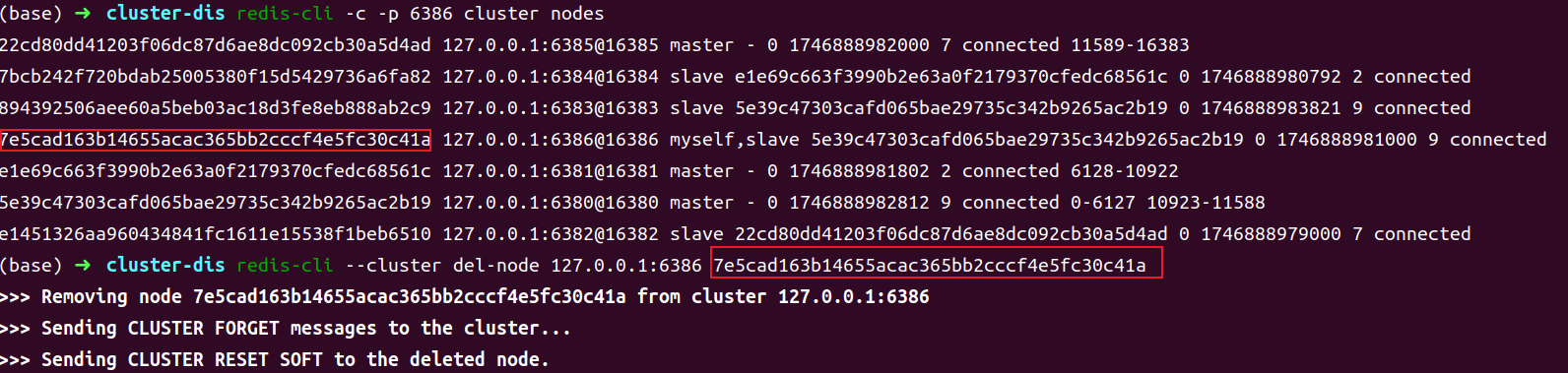 image-20250510225953704