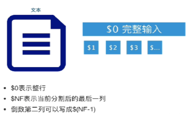 image-20230130143005920