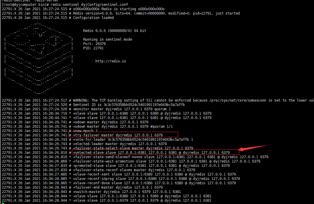 image-20230131175231450