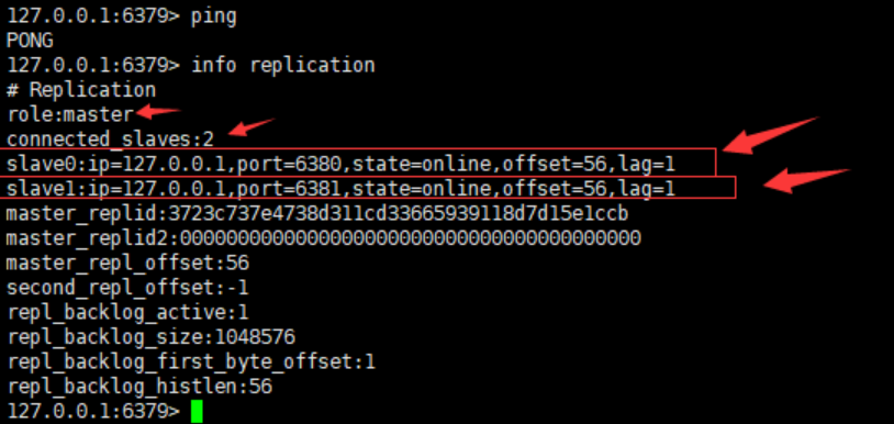 image-20230131180846079