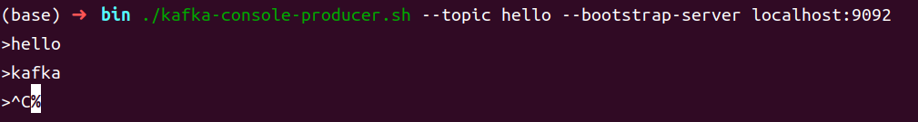 image-20240615145640477