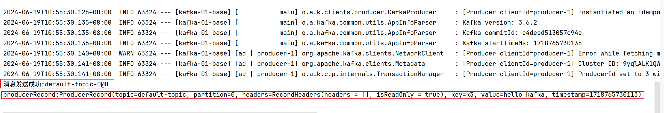 image-20240619105643055