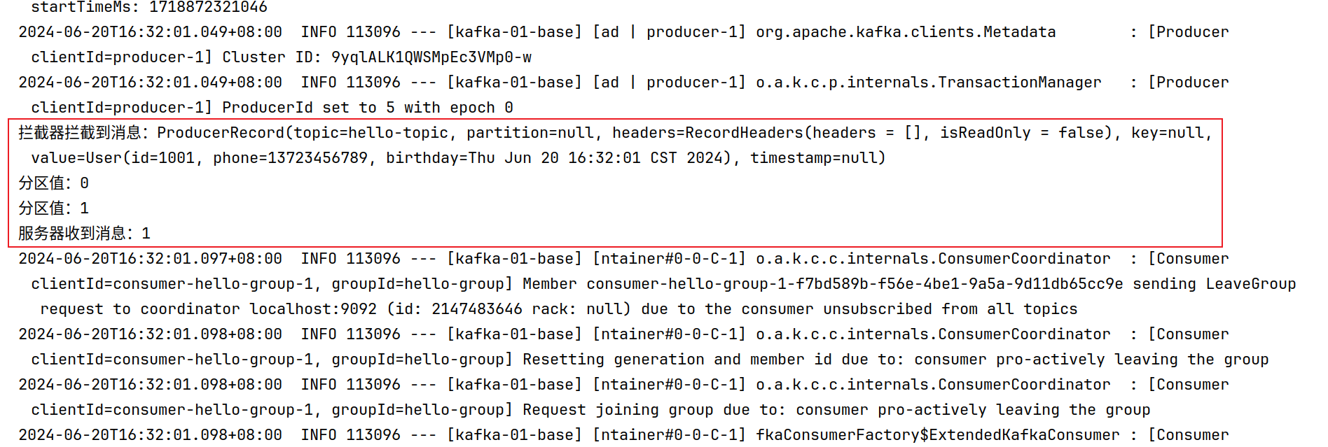 image-20240620163311678
