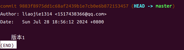image-20240728185727179