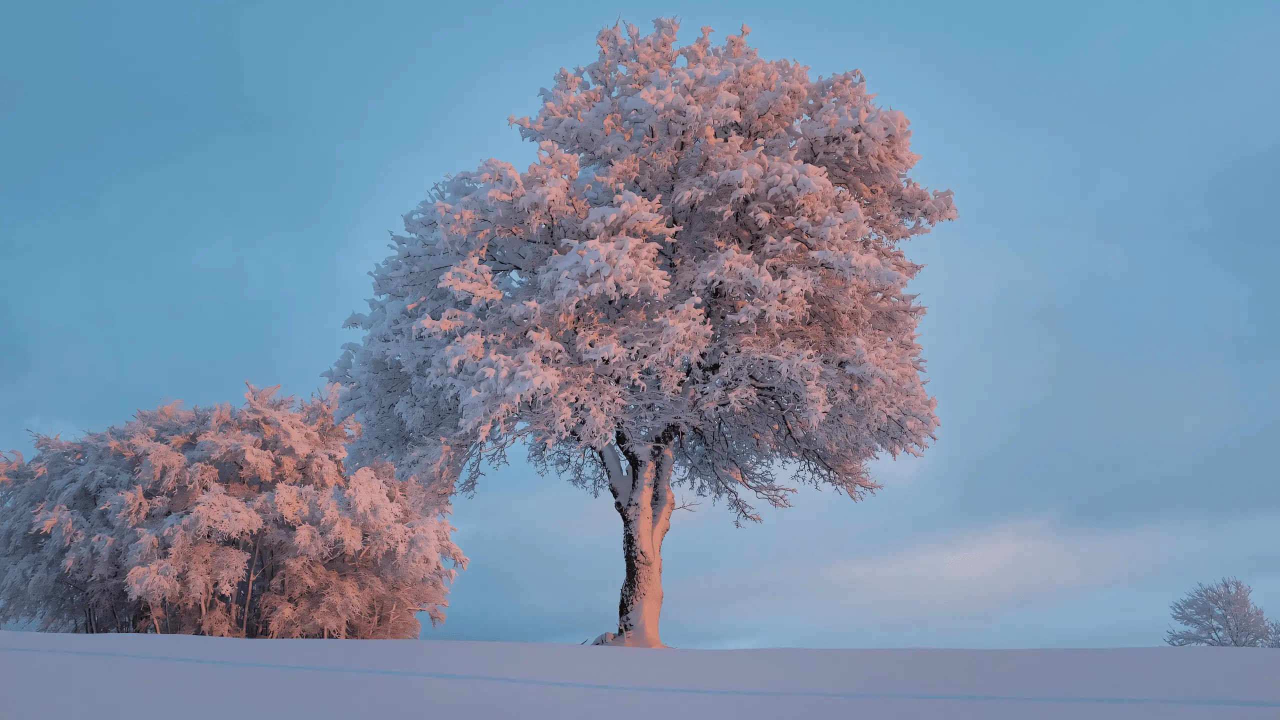 RabbitMQ:5.异地容灾