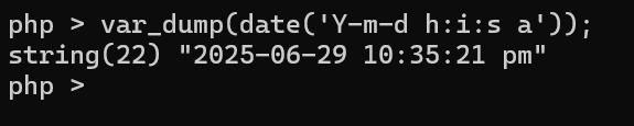 image-20250629223531311
