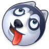 :Y.wb16: