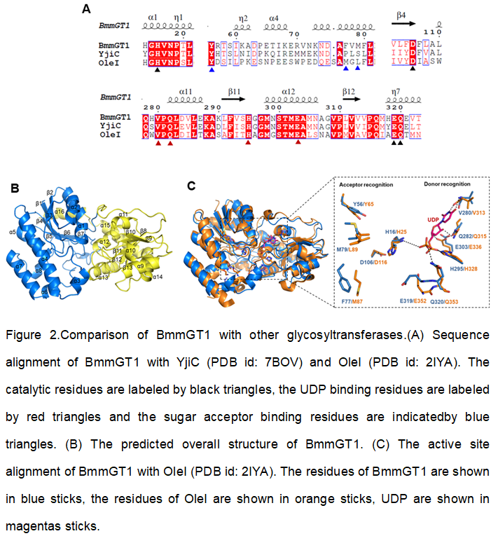 Figure2