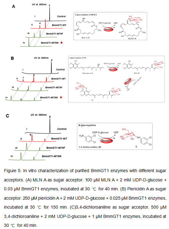 Figure5