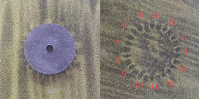 image-20260115224515281