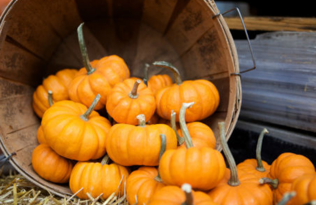 经常吃南瓜有什么好处？医生提醒：但这4类人群尽量别吃太多