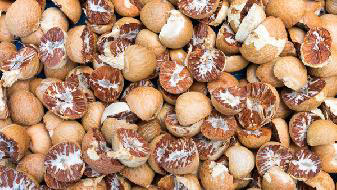 养生养什么？保持6个习惯可以让自己精力充沛