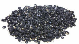 久坐之人养生小方法 不妨加一个靠垫