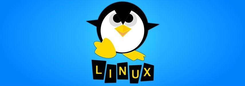 【Linux】依赖Netfilter Hook编写自定义内核模块