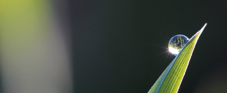 引导冥想 | 20分钟缓解焦虑减压正念回归平静