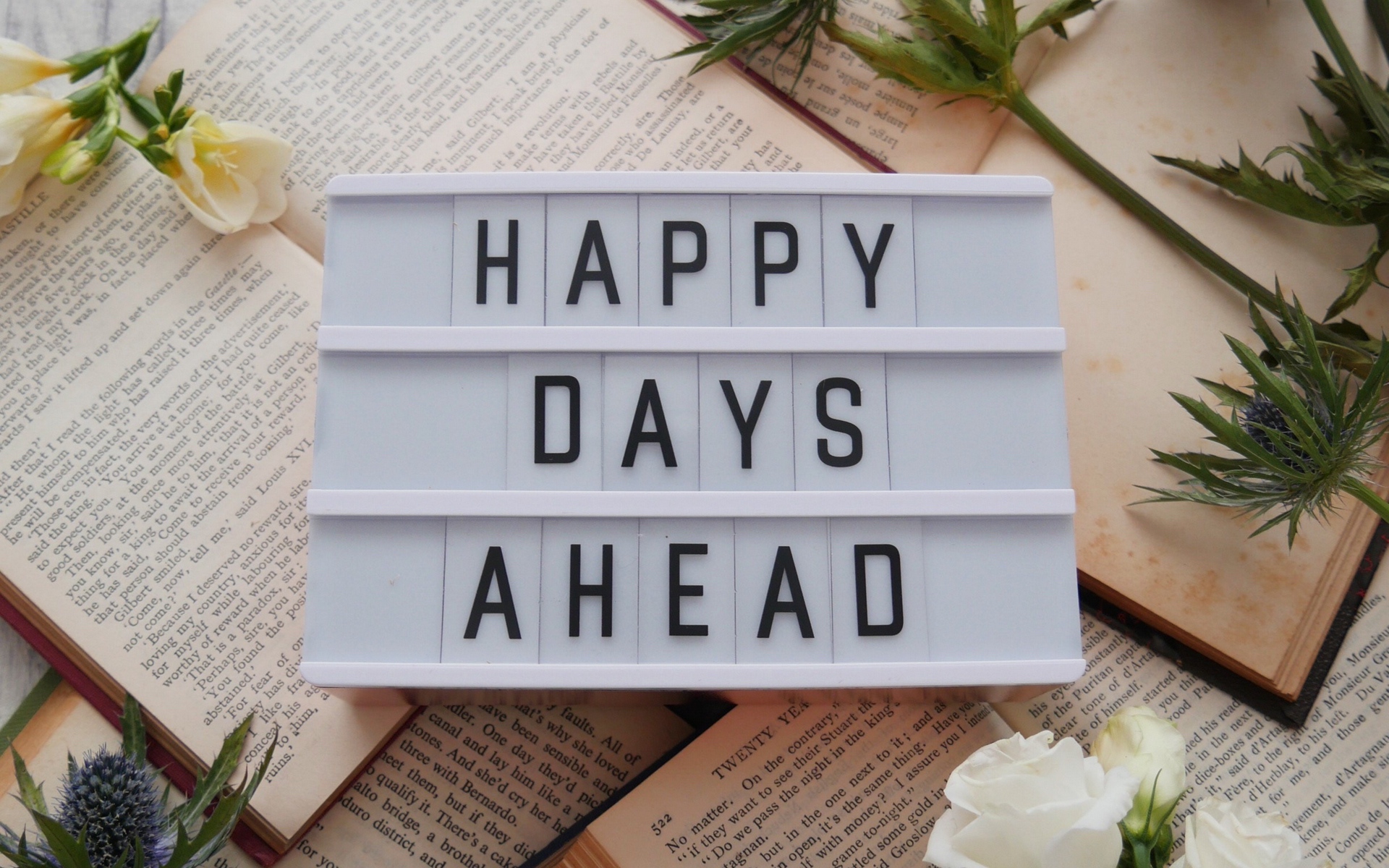 " 孤独真的很可怕吗？"