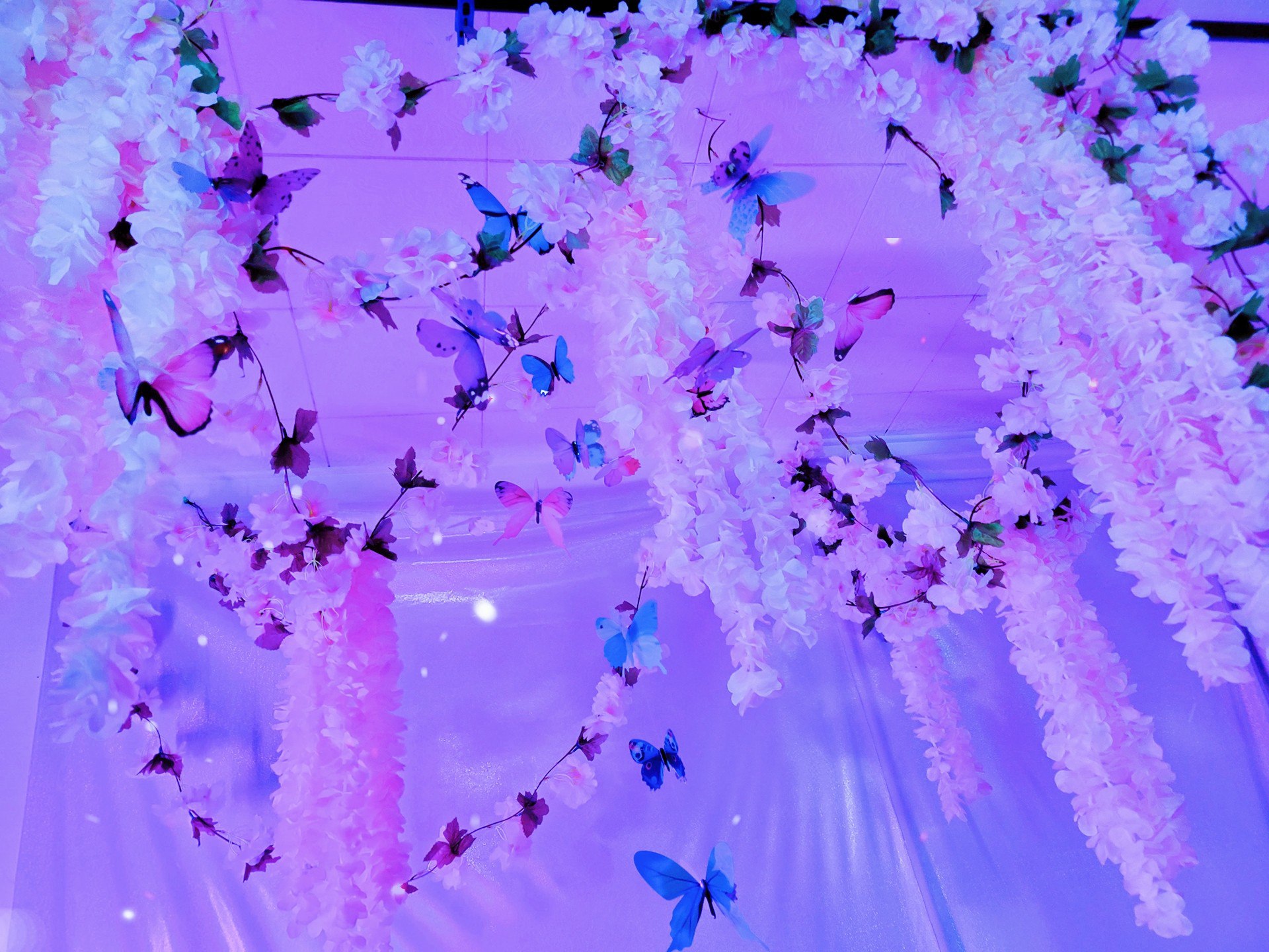 Alexandre - Shinobu image