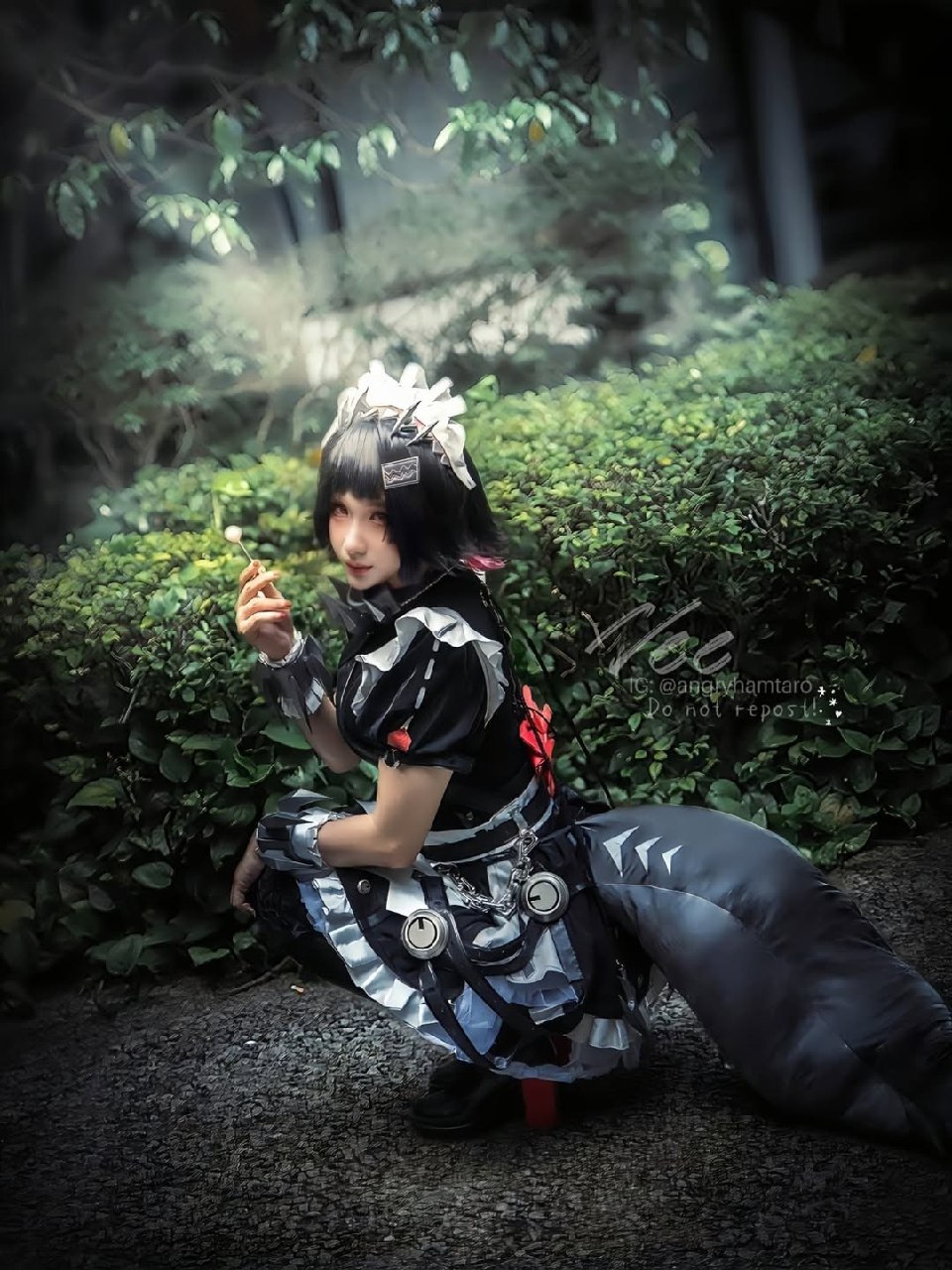 AngryHamtaro - Ellen Joe photo