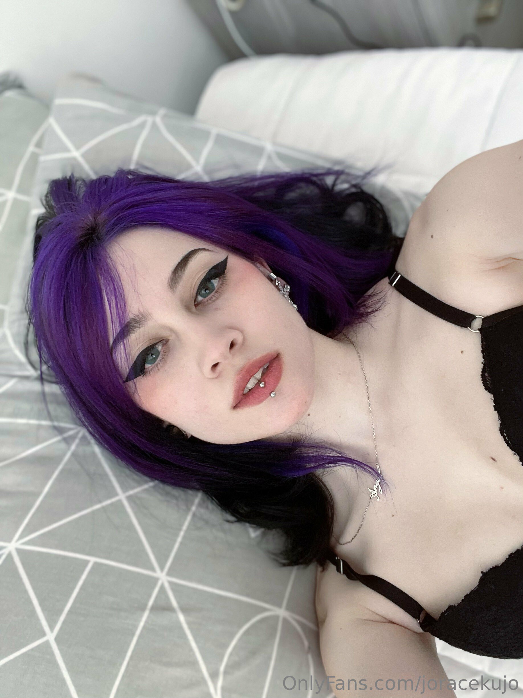 Barbara Horacek - Raven photo