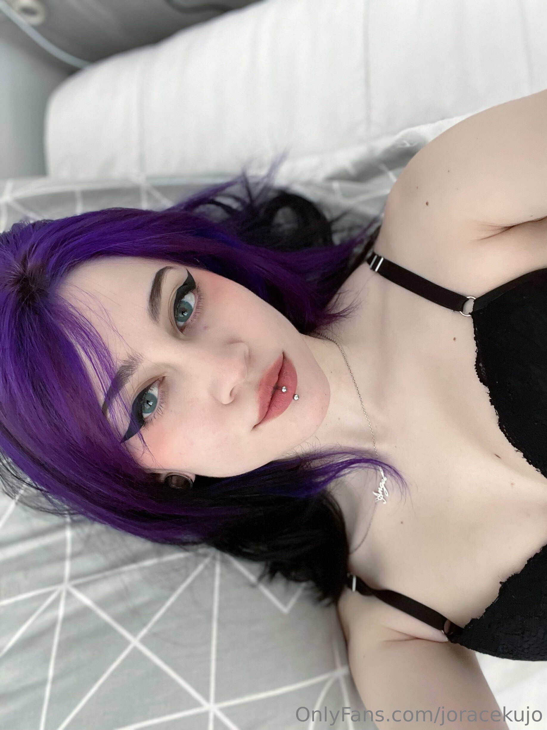 Barbara Horacek - Raven portrait photo