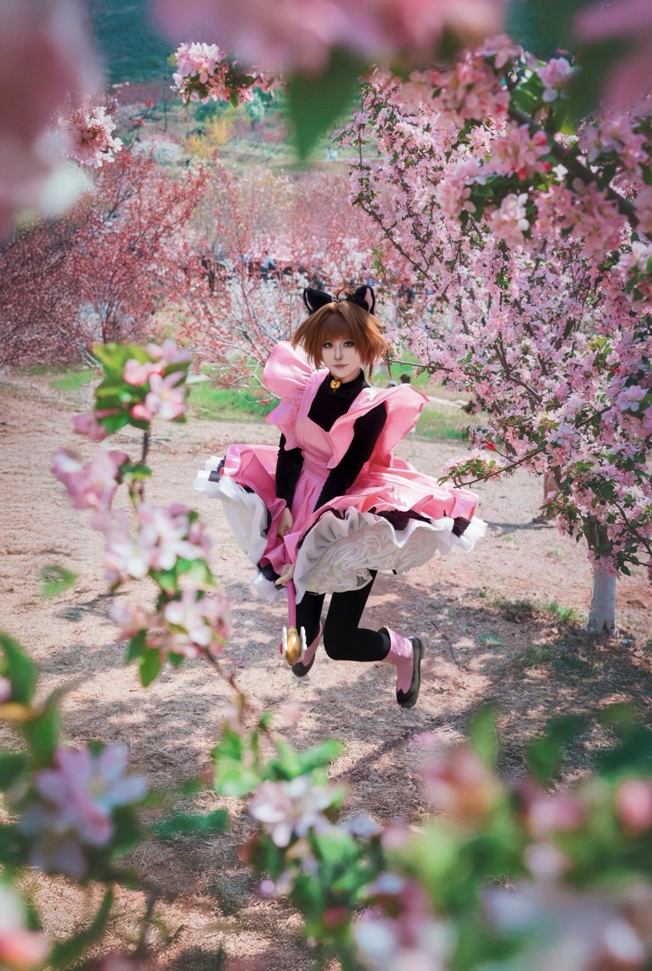 Cardcaptor Sakura cosplay photo