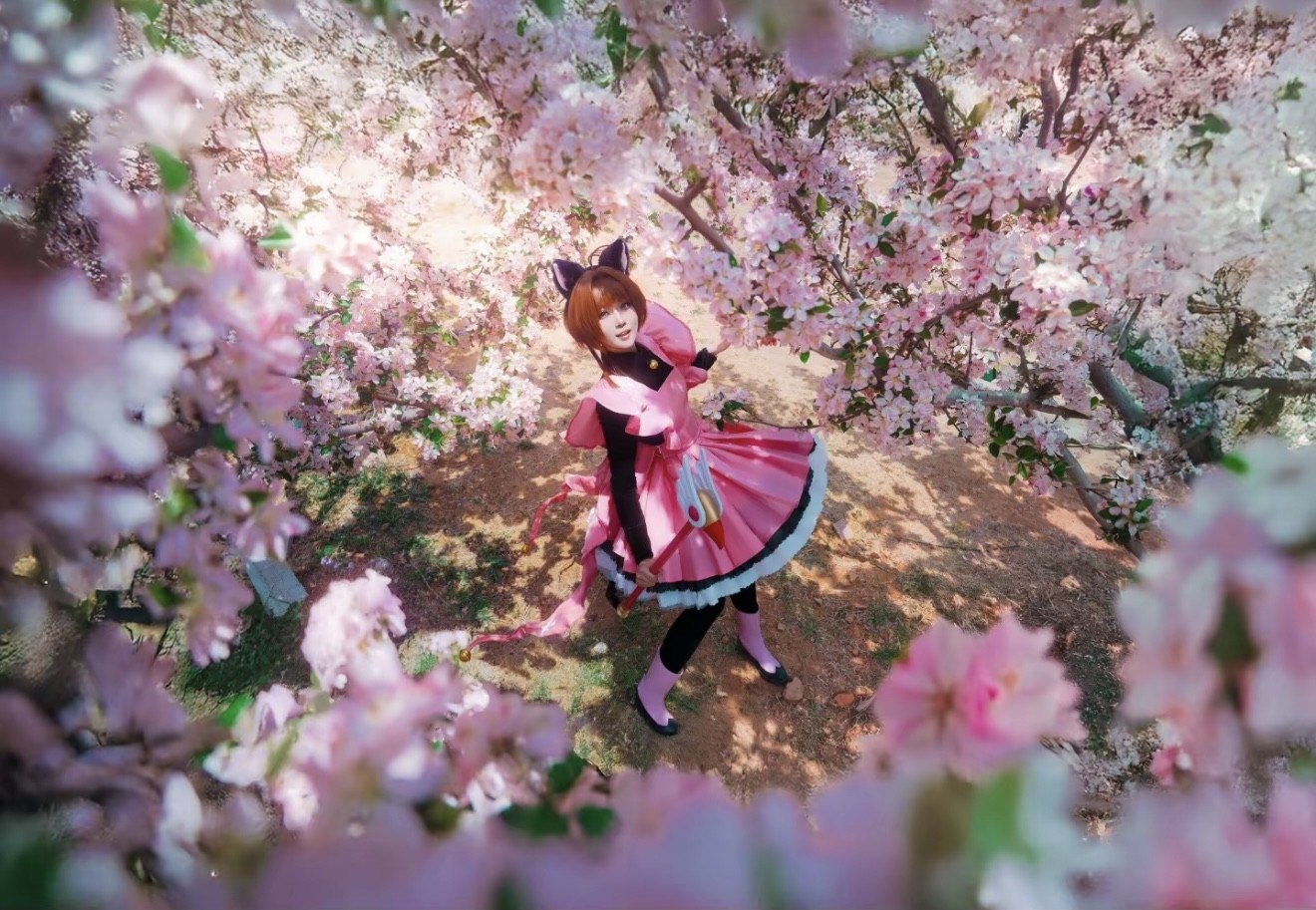 Cardcaptor Sakura cosplay image