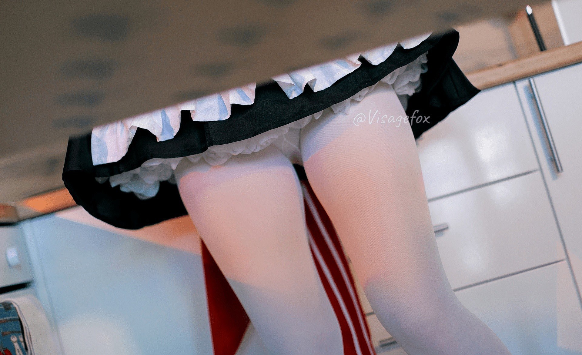 Visage Fox Noelle KFC portrait photo