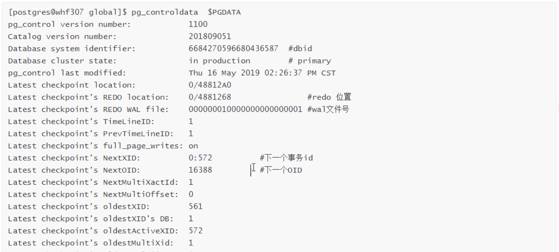 image-20211223081748571