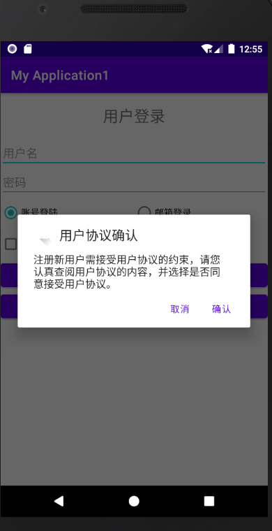 image-20210116205519389