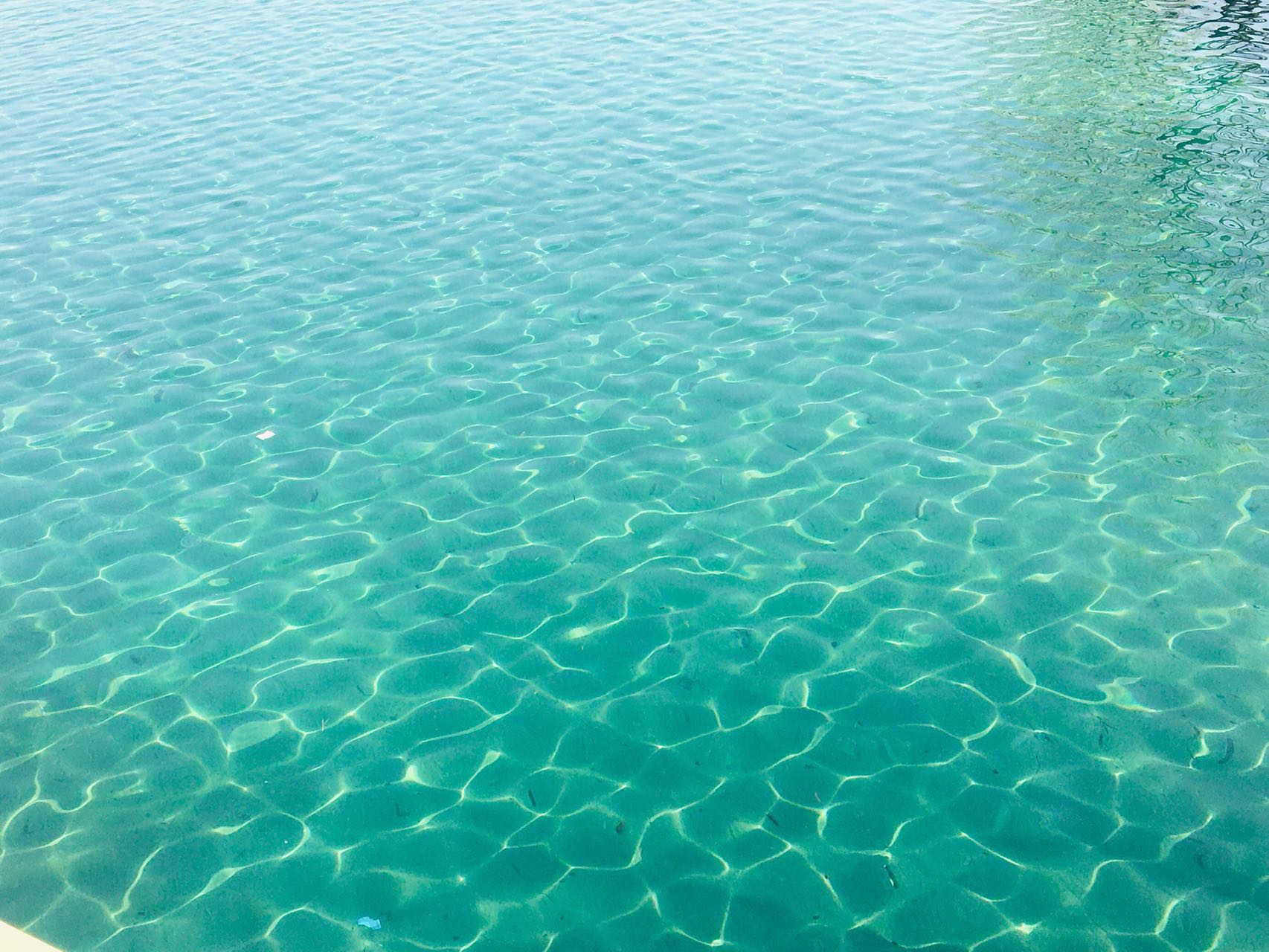 对快与慢的一丢丢感想