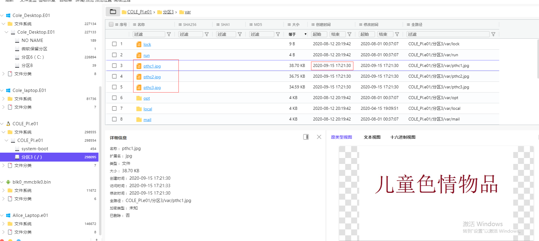 110_cole_PI_色情物品